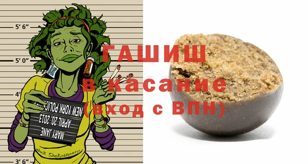 мдпв Вяземский